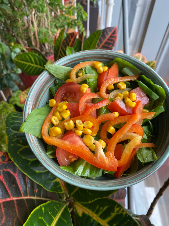 Весна (постный)