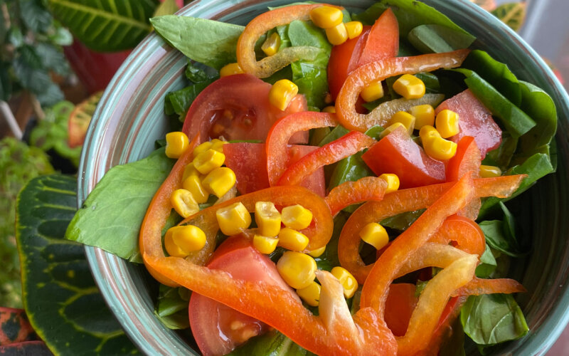 Весна (постный)