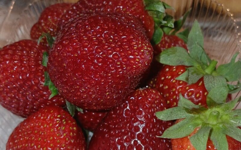 Клубника свежая