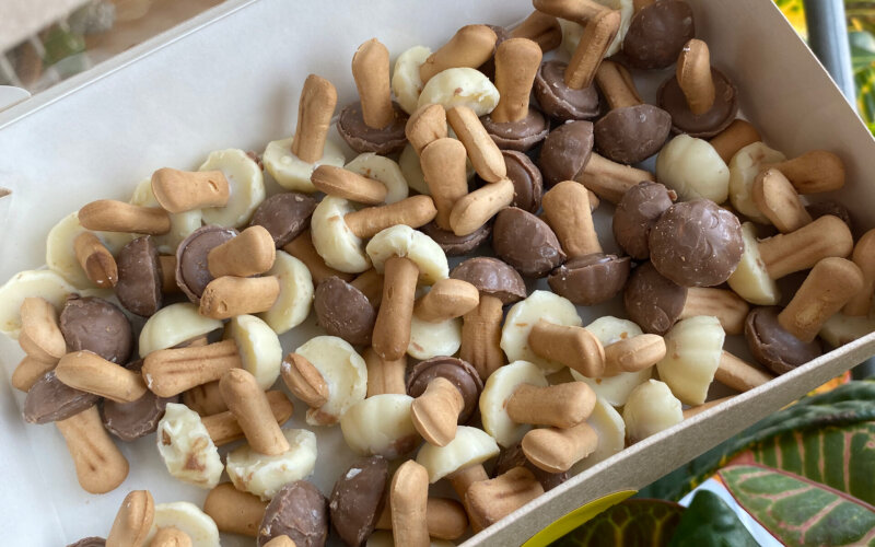 Грибочки